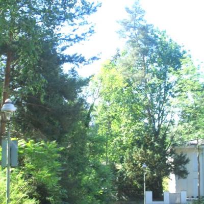 (4461) Frohnau/Waldnähe-Bestlage!