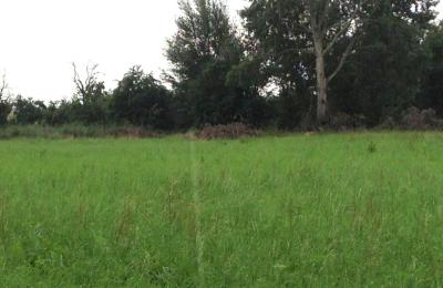 (5998) Schönefeld-OT Kiekebusch/ Entwicklungs-Grundstück für Bauträger und Investoren