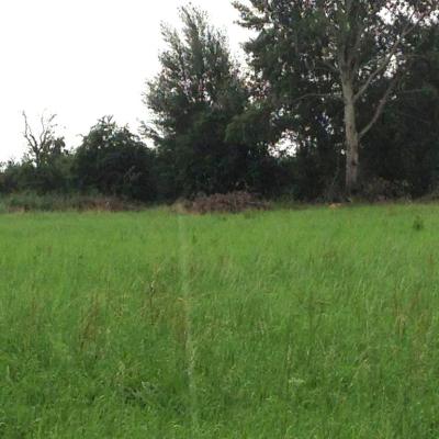 (5998) Schönefeld-OT Kiekebusch/ Entwicklungs-Grundstück für Bauträger und Investoren