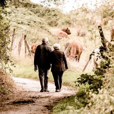 Sachsen-Anhalt/ Halle (Saale)- Entwicklungsgrundstück mit Pflegeprojekt