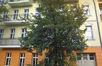 (6299) Wedding/ Modernisierte Eigentumswohnung im ruhigen Gartenhaus (für Selbstnutzer oder Anleger)