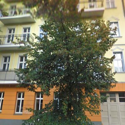 (6299) Wedding/ Modernisierte Eigentumswohnung im ruhigen Gartenhaus (für Selbstnutzer oder Anleger)