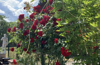 (6306) Polen-Zabor/ Freistehendes Einfamilienhaus mit großem Grundstück