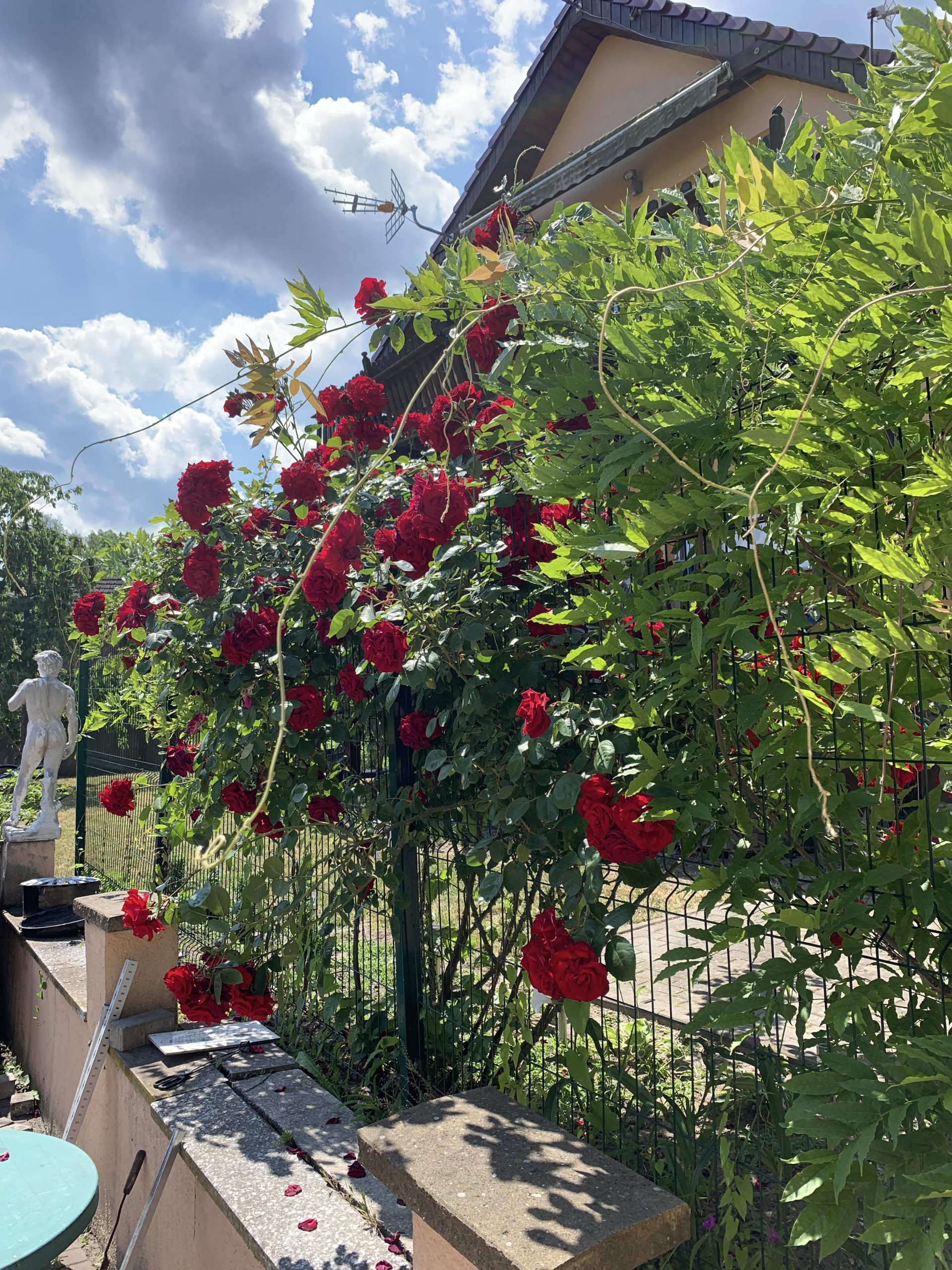 Polen-Zabor/ Freistehendes Einfamilienhaus mit großem Grundstück