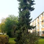 LANKWITZ-GRÜNLAGE/ Bezugsfrei Eigentumswohnung mit Balkon (für Anleger oder Selbstnutzer)